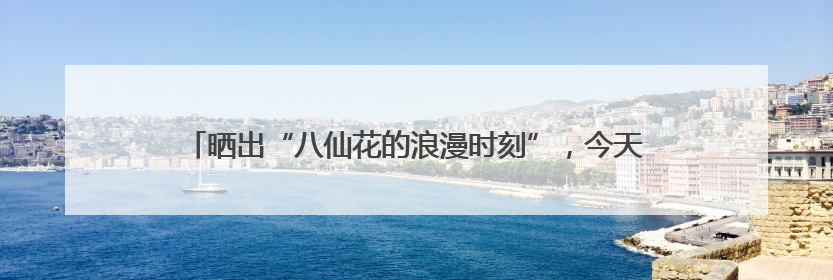 晒出“八仙花的浪漫时刻”，今天，不少读者将这份浪漫延续到家里